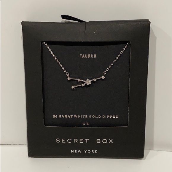 Jewelry - Taurus Zodiac Necklace 24K White Gold Dipped